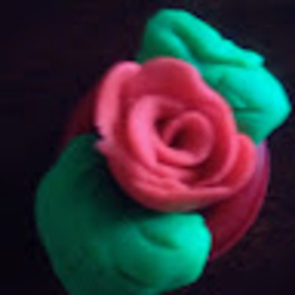 Meet your Posher, Leslie - Picture 1 of 1